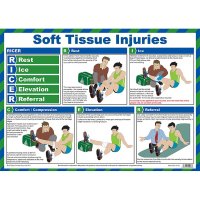 SOFT TISSUE INJURIES POSTER