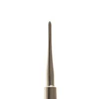 Warwick James Elevator Straight - DMI Dental Consumables Ireland - Next Day Delivery