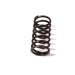 VALVE SPRING