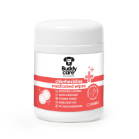 Buddycare Chlorhexidine 100 Wipes