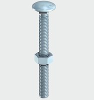 Cup Head Bolt & Nut M10 X 100 Pack of 2