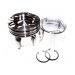 PISTON KIT C/W CLIPS