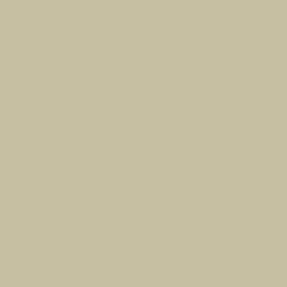 Ralston Briarhill Aqua All Primer Colour Swatch