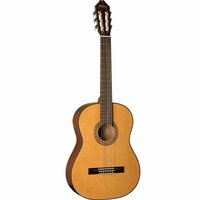 Washburn C40-A - 6 String Nylon 4/4 Classical Acoustic Guitar