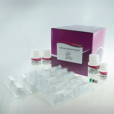 RNA Easy Fast Plant Tissue Extraction Kit
