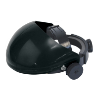 BROWGUARD ONLY C/W HARNESS BLACK 