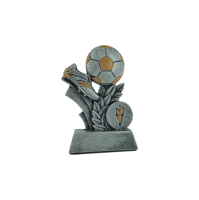 10cm Budget Soccer Award