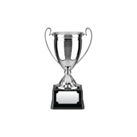 20cm Swatkins Replica Nickel Plated Cup