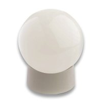 Evolec 100W Globe Bathroom Fitting