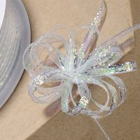 Lurex Pull Bow Ribbon Bottle Silver/Iridescent - 3mm x 25m