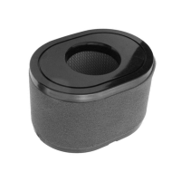 LONCIN - LC2P77F, LC2P80F, LC2P82F  - AIR FILTER