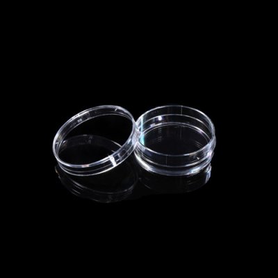 Cell Culture Dishes