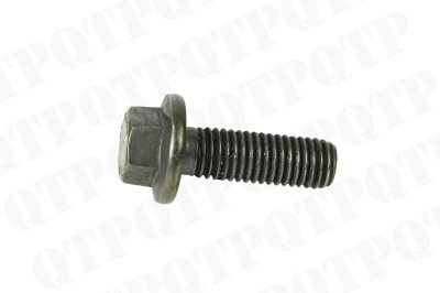 Flanged Screw