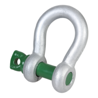 Standard Bow Shackle with Screw Collar Pin