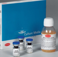 Cycloheximide Solution (0.1%)