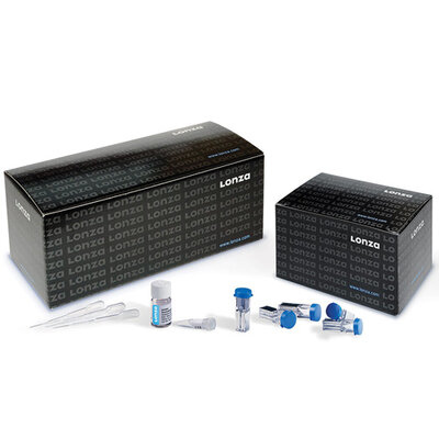 Cell Line Kit R, 4D-Nucleofector X Kit, 25 reactions, 100 µL Nucleocuvette Vessels