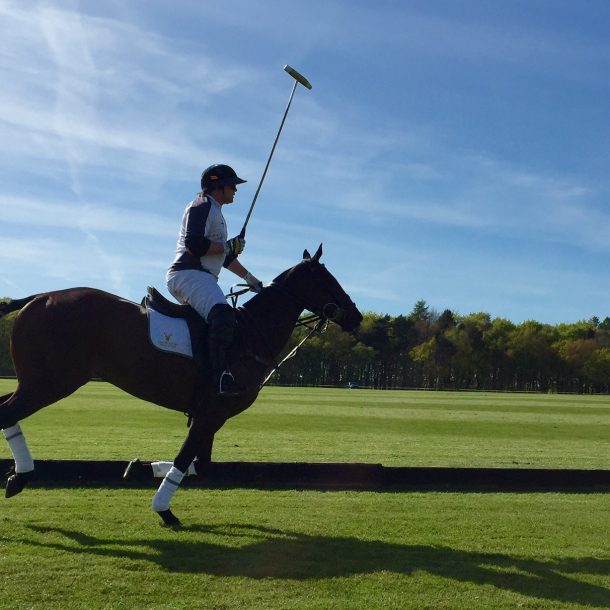 Polo Team Member and Horse