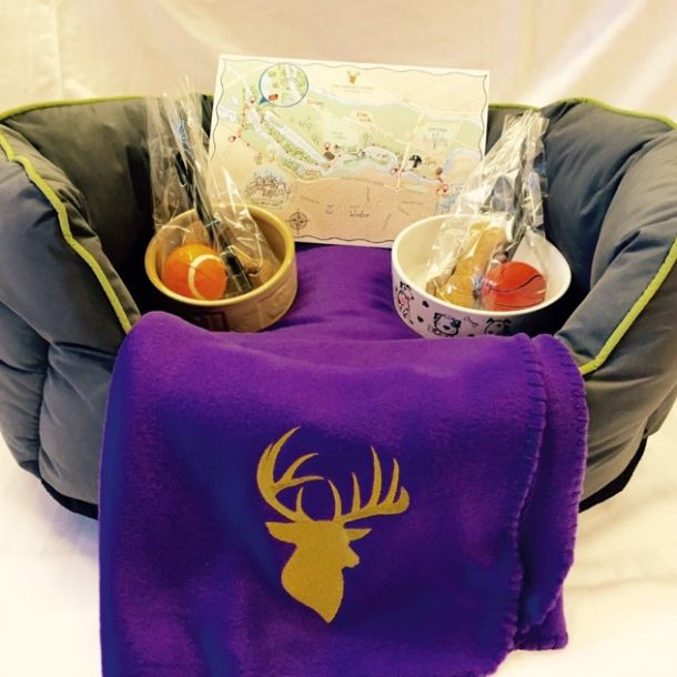 Dog Bed With Treats and Toys