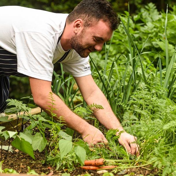 Man Picking Herbs In Garden