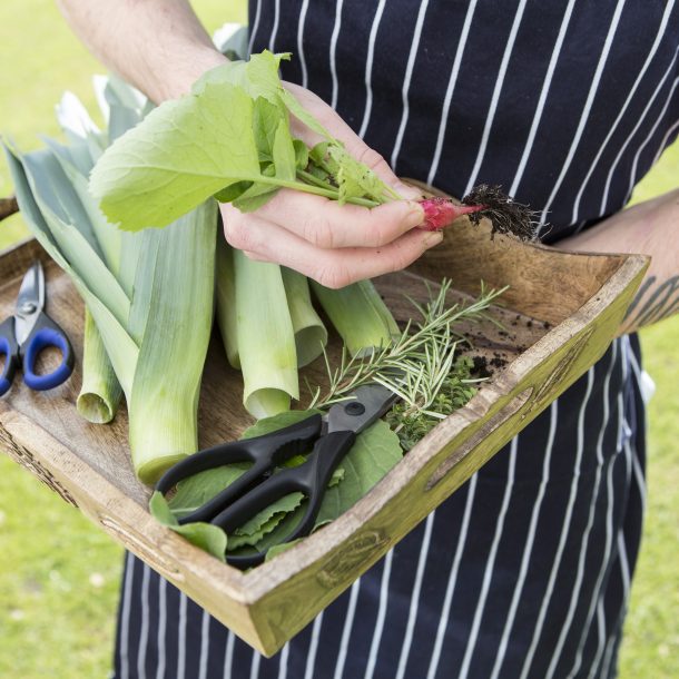 Gardening Tools With Fresh Produce