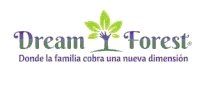 DREAM FOREST