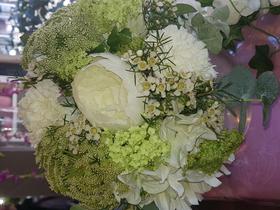 Image of Grass Glasgow