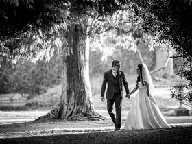 Image of Joel Davies Photography