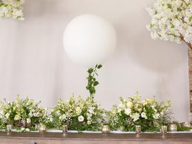 Image of The little balloon Company