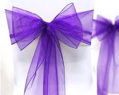 Noeud de chaise en Organza violet - 102