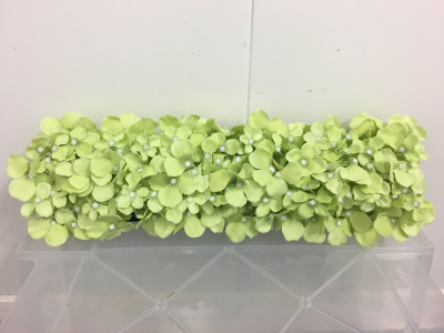 Barre hortensia verte