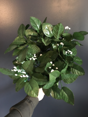 Bouquet de gyspsophile
