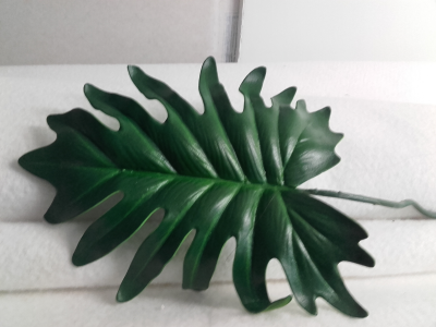 Feuille de philo