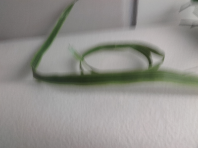 Flexigrass