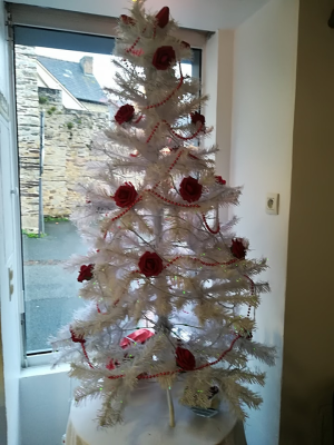 Sapin blanc