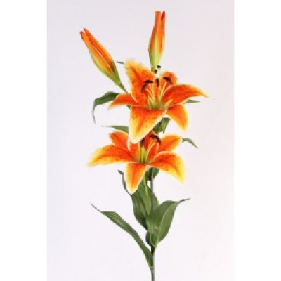 Lys orange