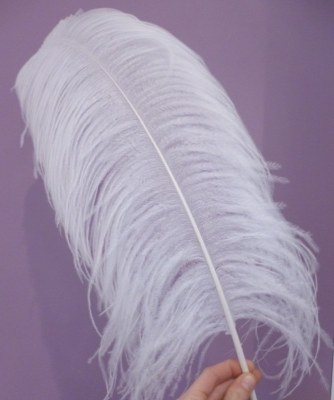 Plume autruche blanche 20cm