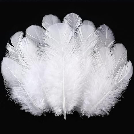 Mini plume blanche