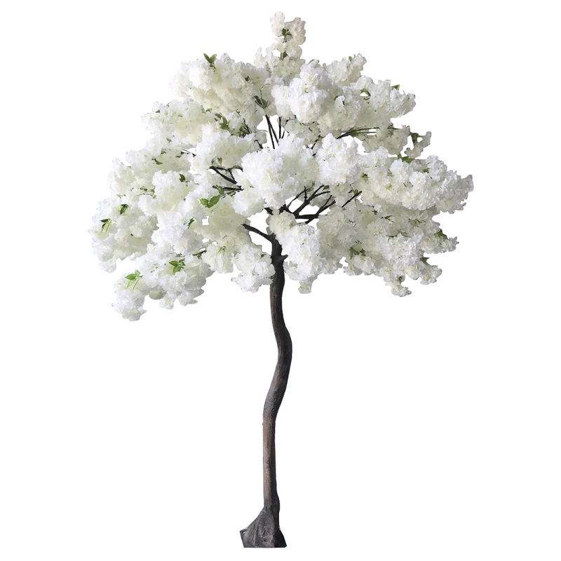 Arbre blanc