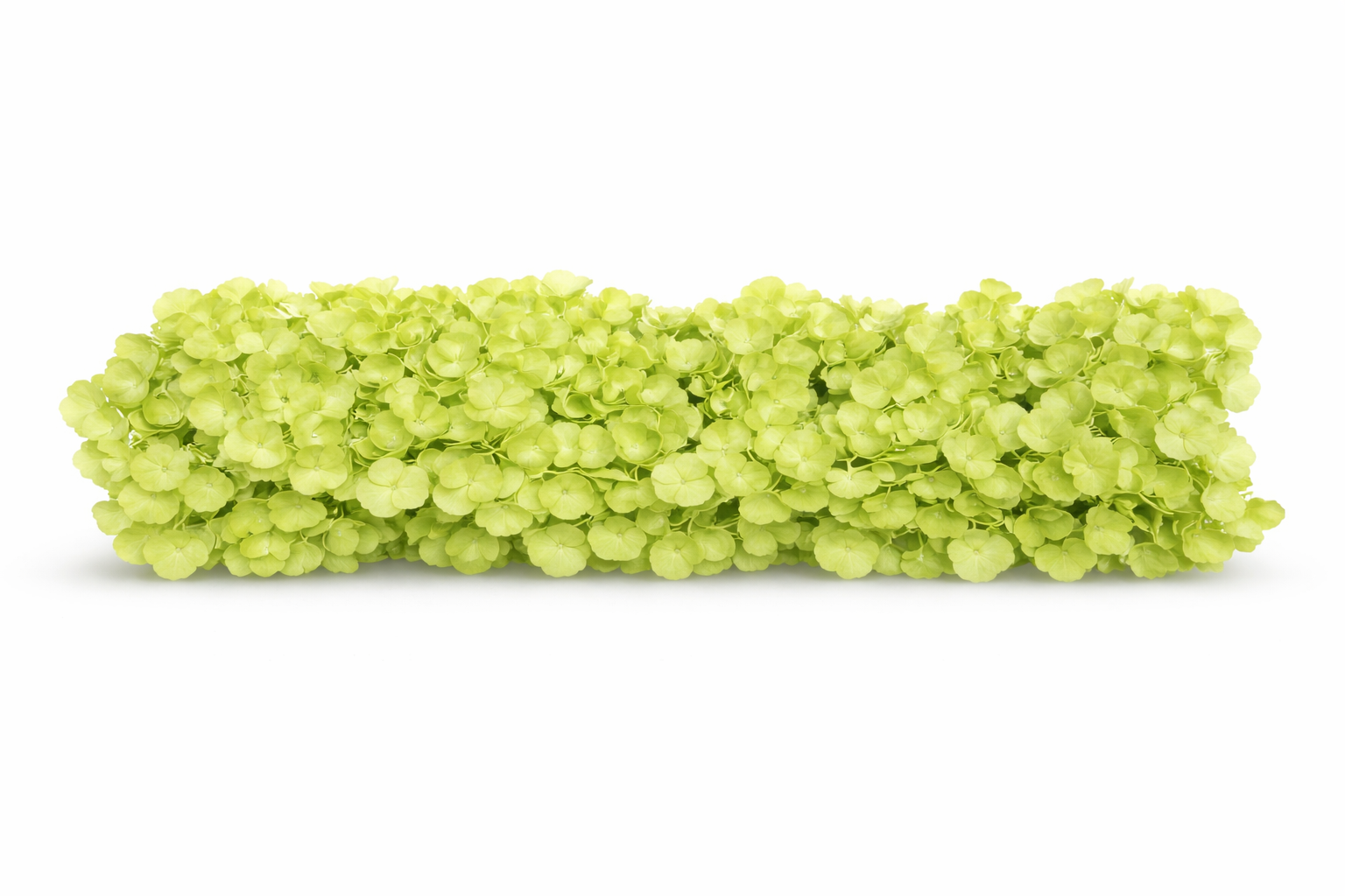 Barre hortensia verte