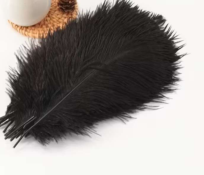 Mini plume noire 15 cm