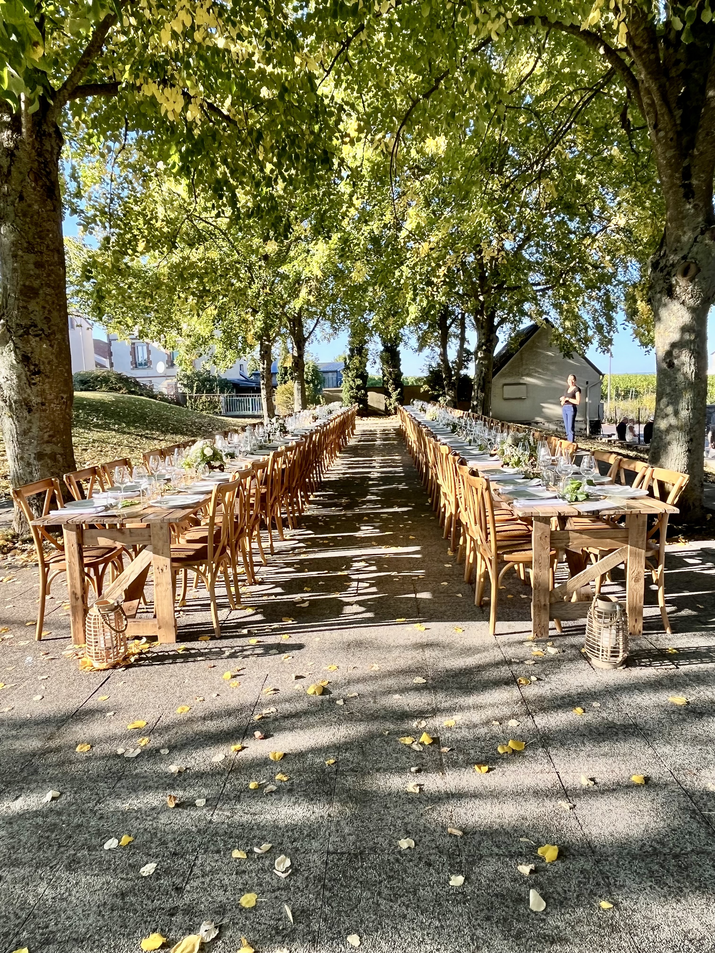 CHAISE DOS CROISÉ BOIS