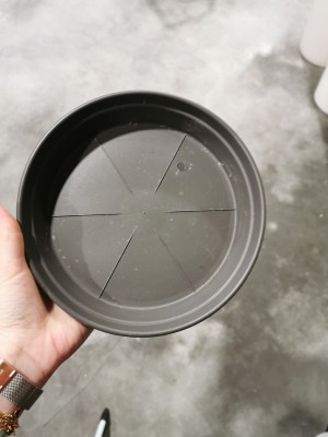 Soucoupe vert pour vase martini