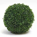 Boule de buis 13cm