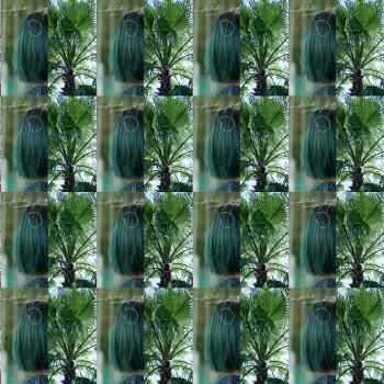 Color Fresh Create Instagram post 1