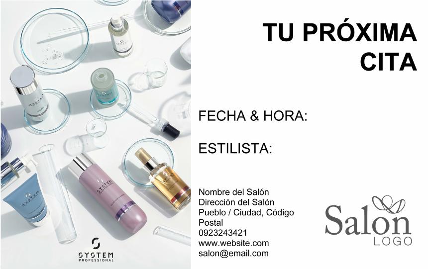 System_Professional_System-X_Business-card_ES.pdf