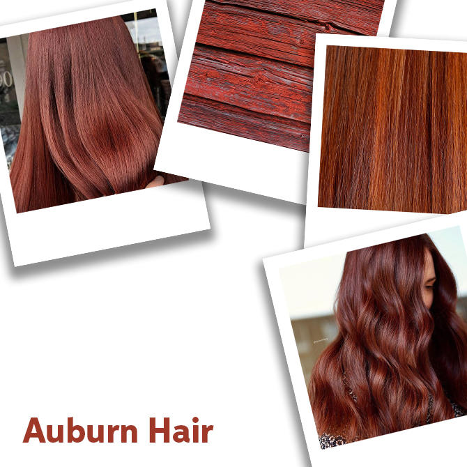 Autumn Auburn Hair image22.jpg