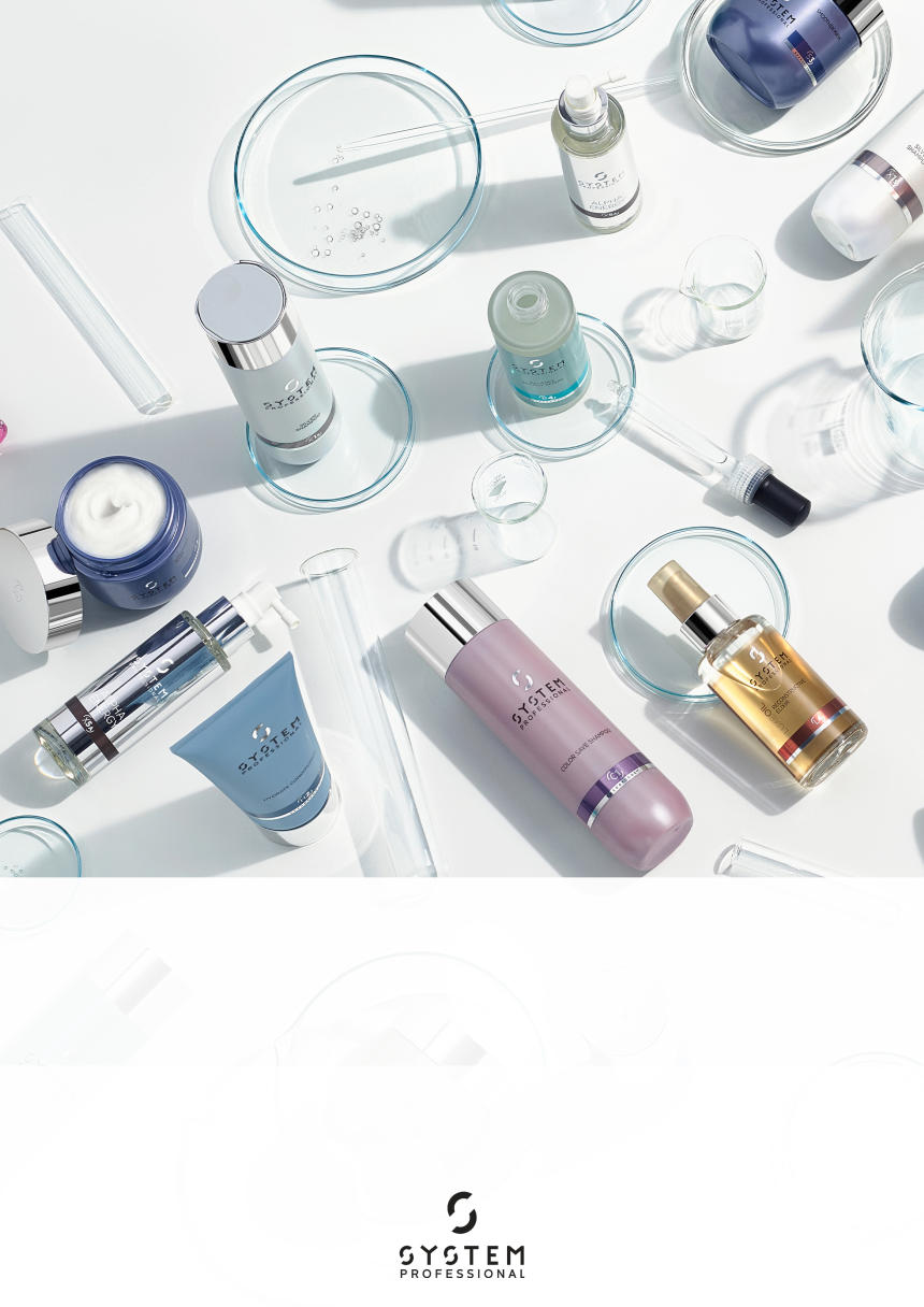 System Professional System X Glorifier_ES.pdf