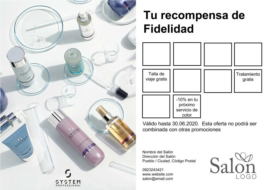 System_Professional_System-X_Loyalty-card_ES.pdf