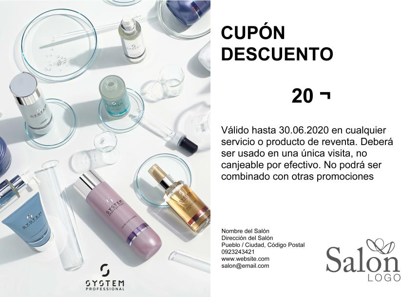 System_Professional_System-X_Voucher_ES.pdf