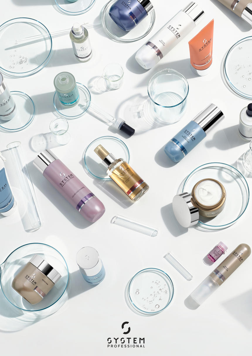 System Professional System X Poster.pdf